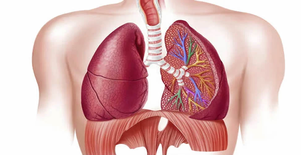 Doença Pulmonar Obstrutiva Crônica