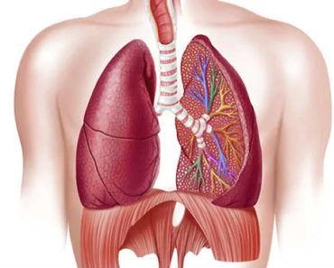 Doença-Pulmonar-Obstrutiva-Crônica.jpg