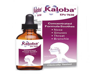 Kaloba-Kaloba